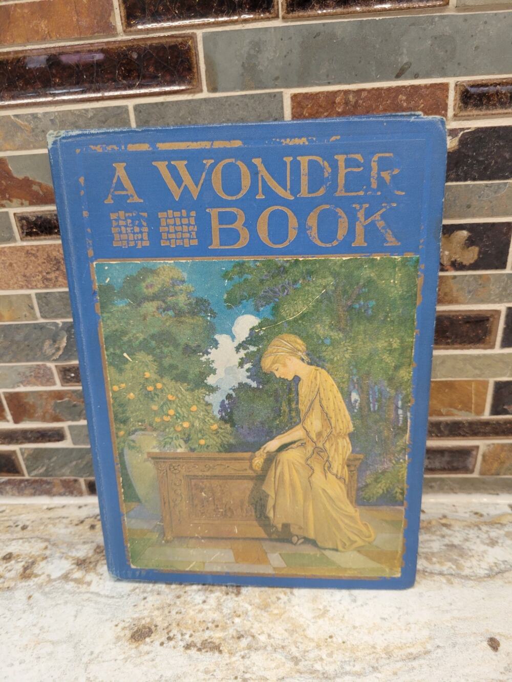 Antique 1913 A Wonder Book for Girls and Boys Windermere Series Milo Winter Ill